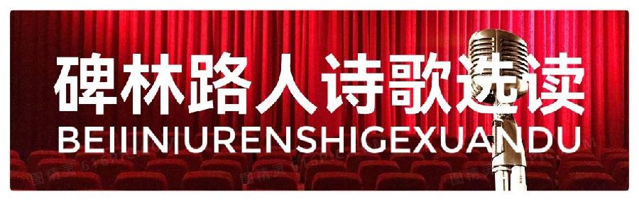 碑林路人诗歌选读《我是您写出的最美的诗》朗诵 老菩提(图2)