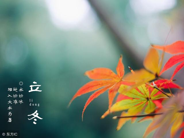 【新诗大观】立冬||文/最美的时光(图2)