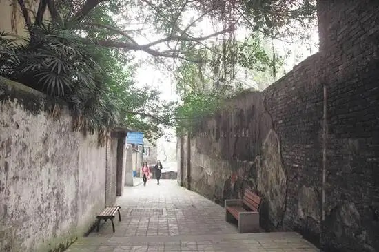 【新诗大观】梦回老家(散文)||文/杜海军(图4)