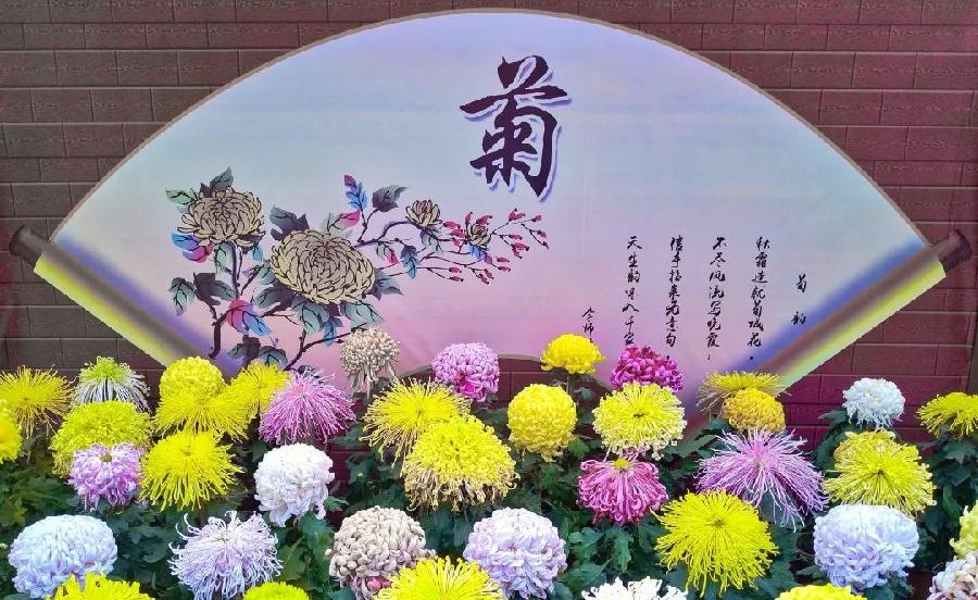 【中国齐鲁风诗词社】分享丁家九《立冬》外三首请欣赏(图6)