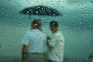 连阴雨 文/苏州漫（图2）
