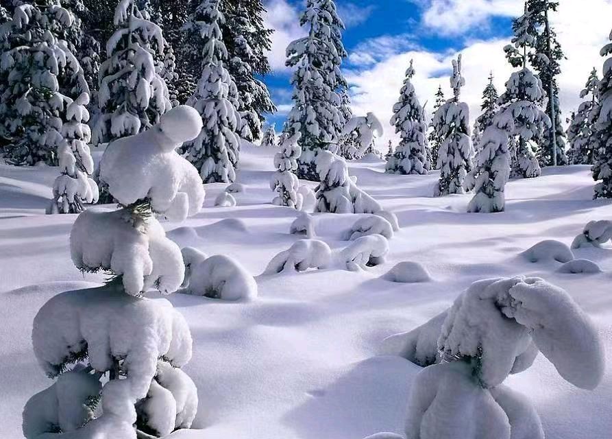 银龄朗诵艺苑 白雪诵读《立冬,一个新希望的开始》作者:静宜(图6)