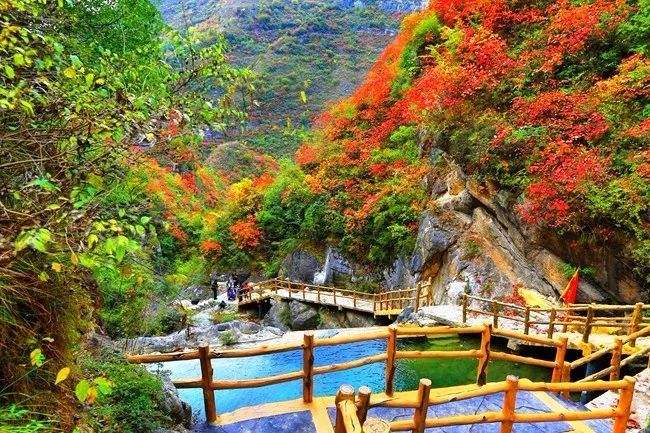 《江南诗絮文化中心》0572期-现代诗苑(图34)