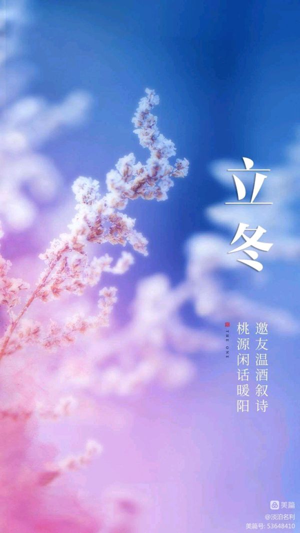 〖诗词小辑〗立冬 文/诗赋南沧（湖南）【冰心文化传媒】（图6）