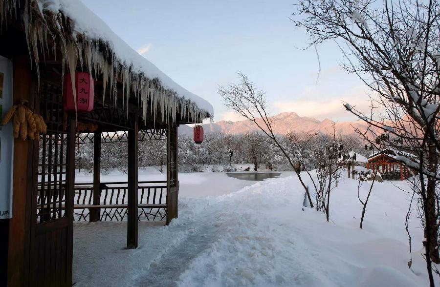 中华诗艺社黑龙江分社推介/雪山飞狐:钗头凤·初冬抒怀(程垓体）（图8）