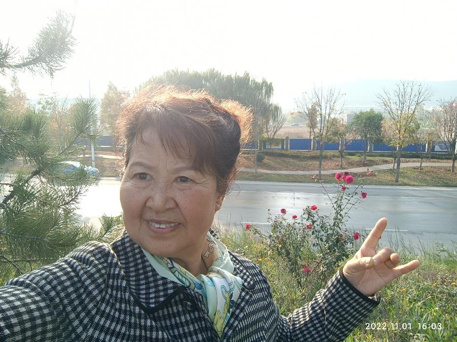 【雅诗总会】精美的藏头诗《花开富贵》(外八首)‖作者:白莲/腊梅(图5)