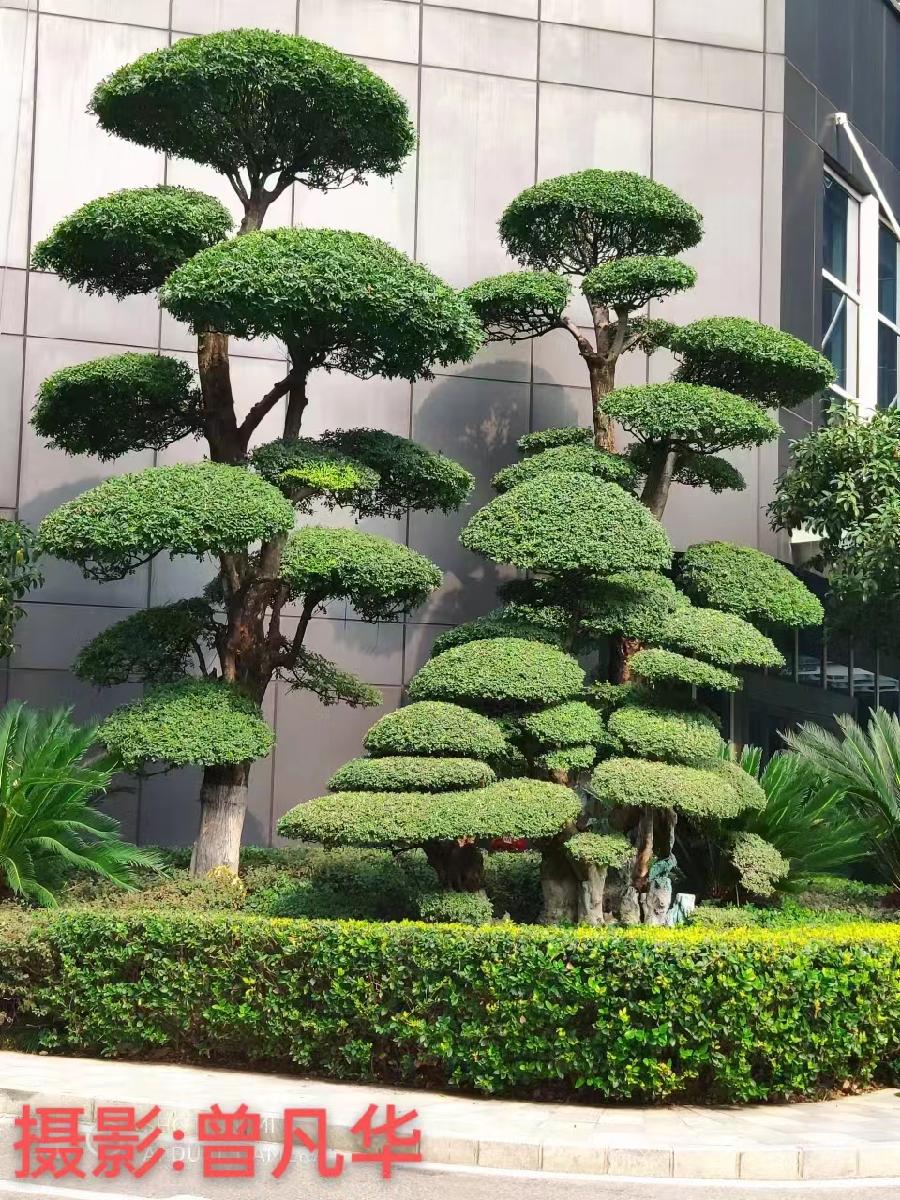 国风上海社第二十期诗刊—北京头条(图48)
