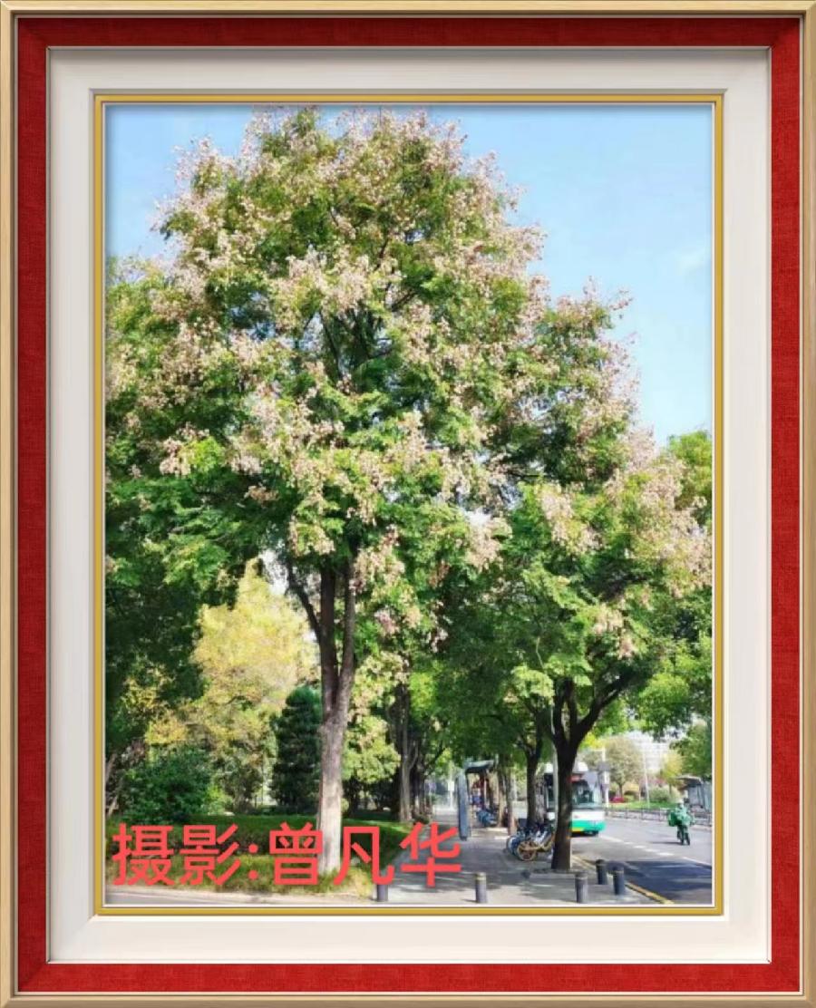 国风上海社第二十期诗刊—北京头条(图68)