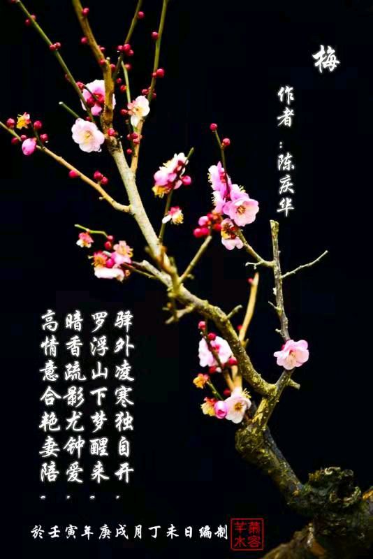 陈庆华古体诗词专辑 京津沪头条文学平台发布（图4）