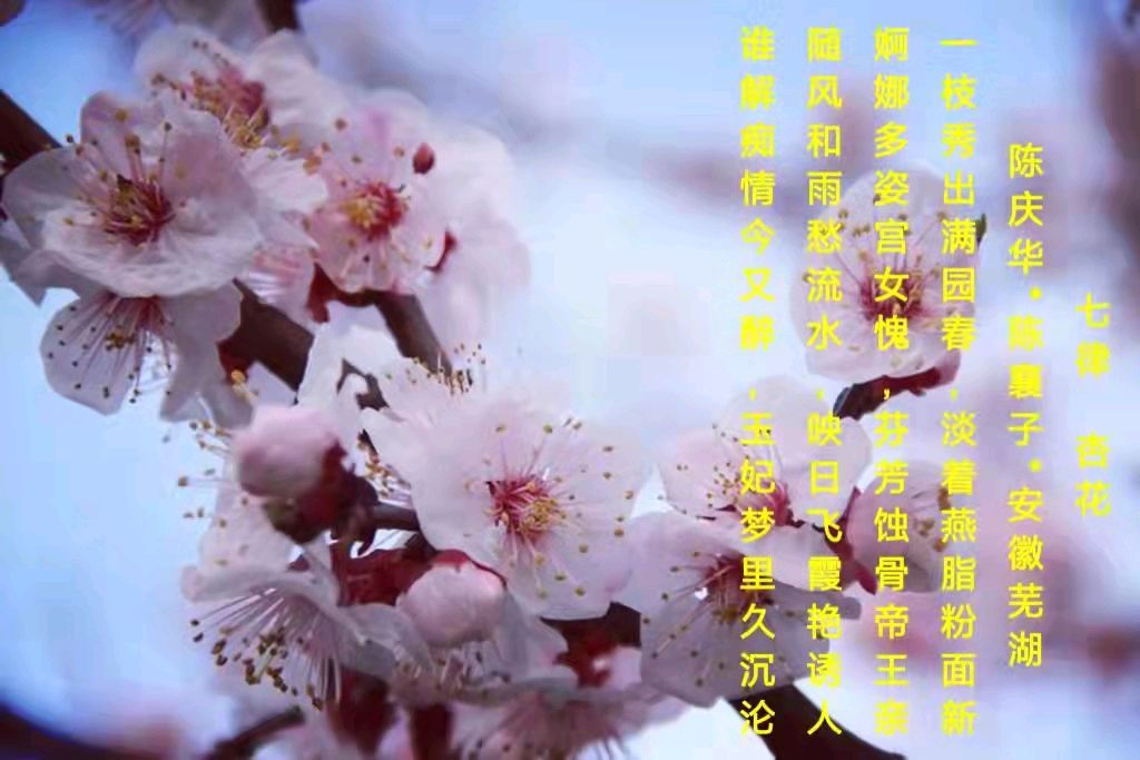 陈庆华古体诗词专辑 京津沪头条文学平台发布（图13）