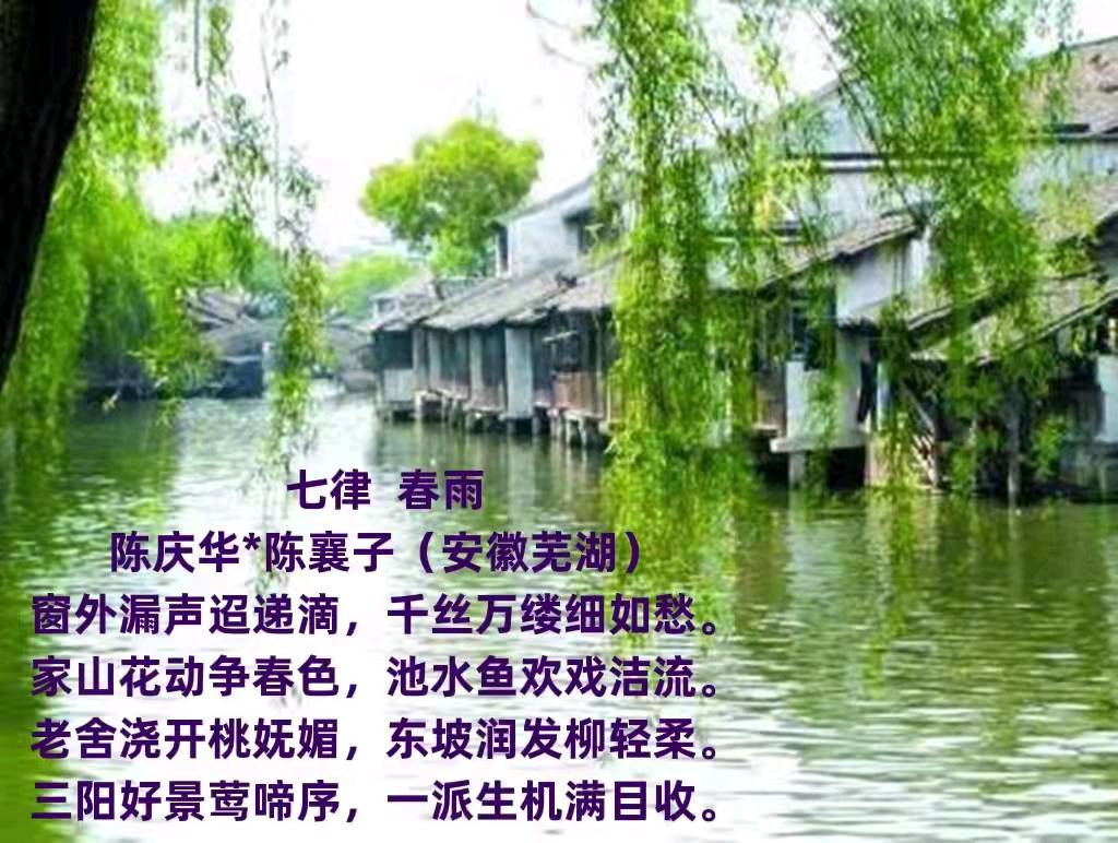 陈庆华古体诗词专辑 京津沪头条文学平台发布（图14）
