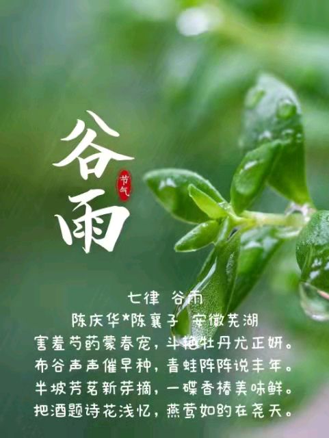 陈庆华古体诗词专辑 京津沪头条文学平台发布（图10）