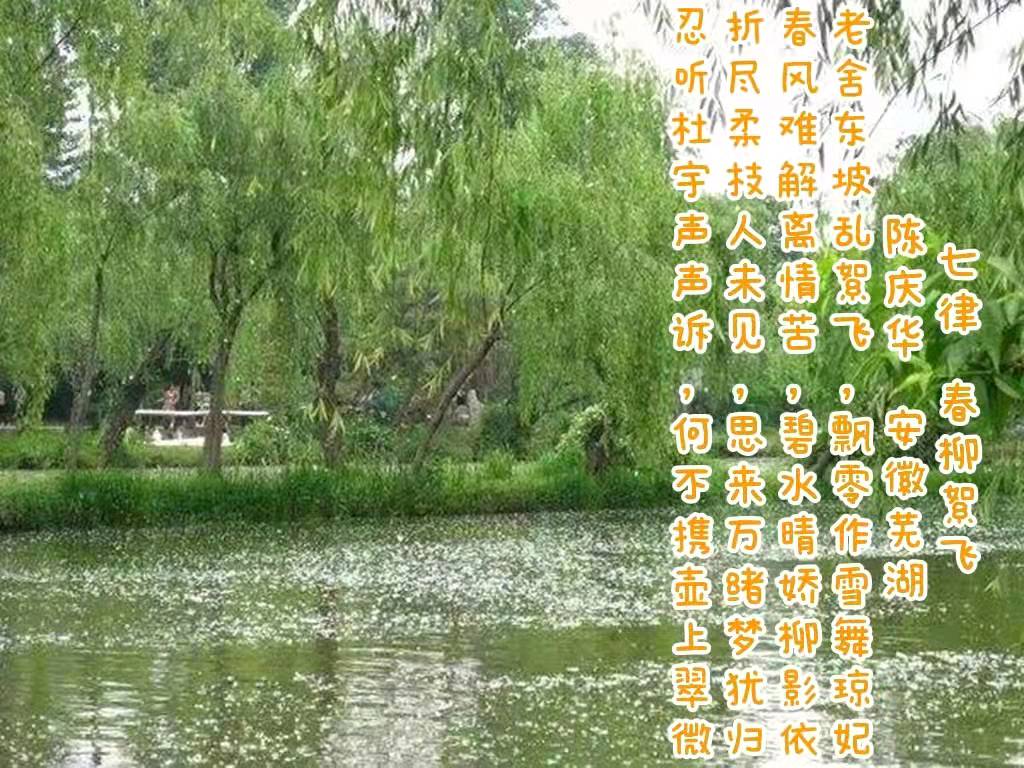 陈庆华古体诗词专辑 京津沪头条文学平台发布（图9）