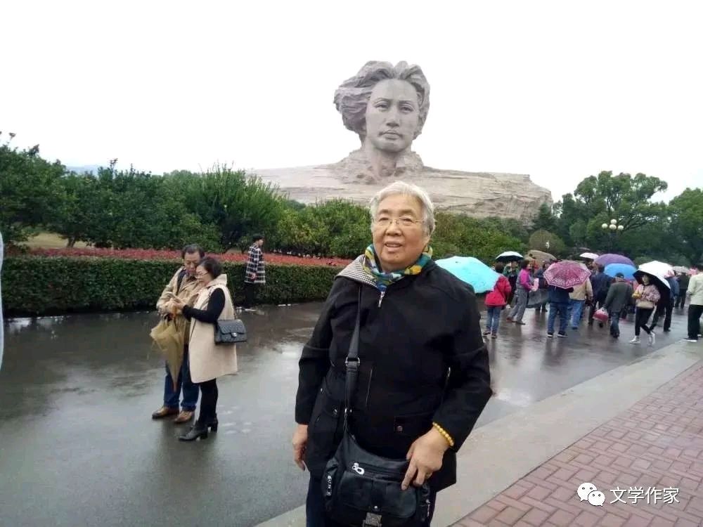 【燕赵文学】散文：养鹅（河北/菊花）（图2）