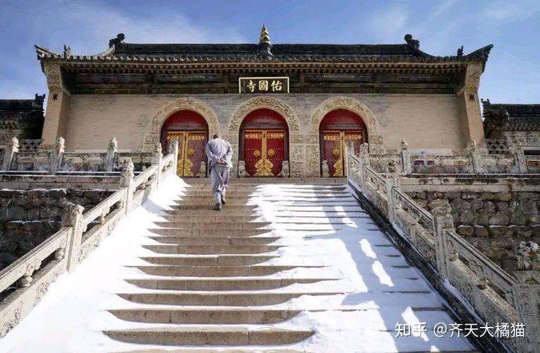 《去五台山》作者:秦砖【主播:马艺军】【桃园国际诗歌集团】用声音传递温暖以朗诵致敬人生♬（图6）