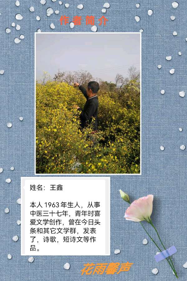 【立冬专刊三】文/郑占荣王鑫叶子毓影 诵读/冬日艳阳荣英小鱼贝文梅竹【花雨馨声】有声文学【第76期】(图9)