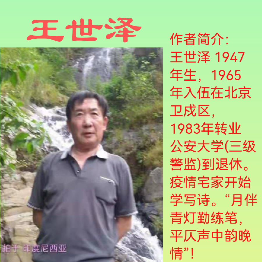 生查子.（韩偓体）冬至会友/外一首/王世泽（北京）（图4）