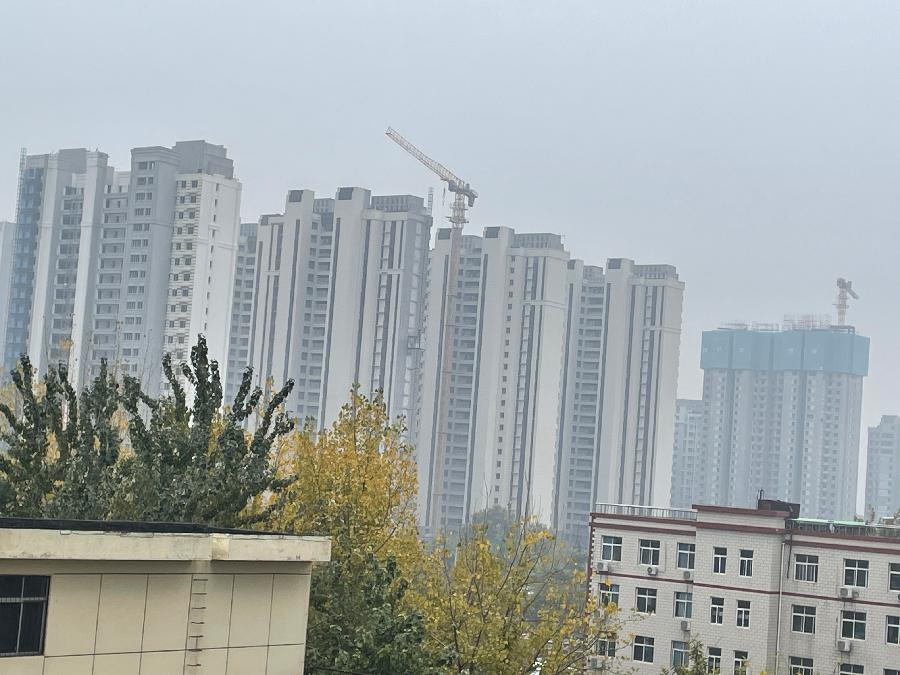 【新诗大观】静默||文/金粉玉蝶（图3）