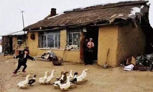 诗人林杨:故乡，一首永远的歌（图7）
