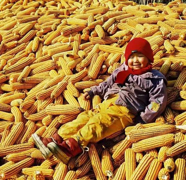 诗人林杨:故乡，一首永远的歌（图9）
