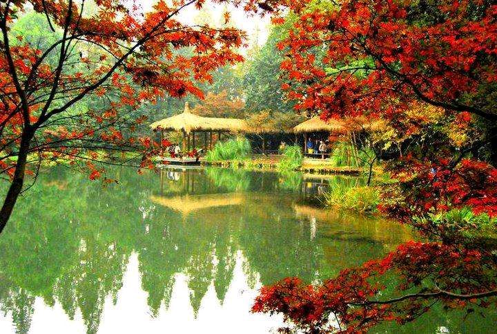 【花雨馨声有声文学平台】《秋卷》作者/陈铠 诵读/傲雪红梅 编辑/五指山【第77期】（图2）