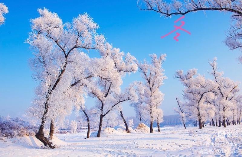 中华诗艺社黑龙江分社推介/冯世荣:鹧鸪天·春夏秋冬（图7）