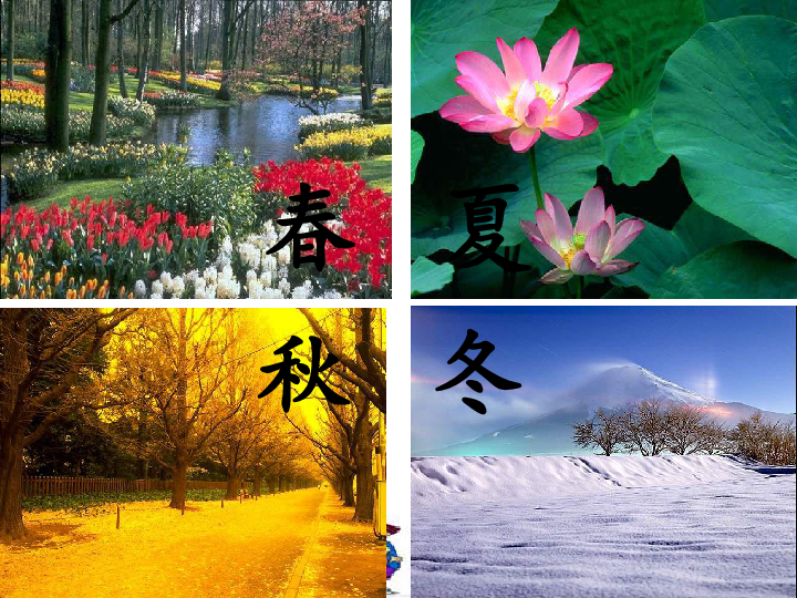 中华诗艺社黑龙江分社推介/冯世荣:鹧鸪天·春夏秋冬（图8）