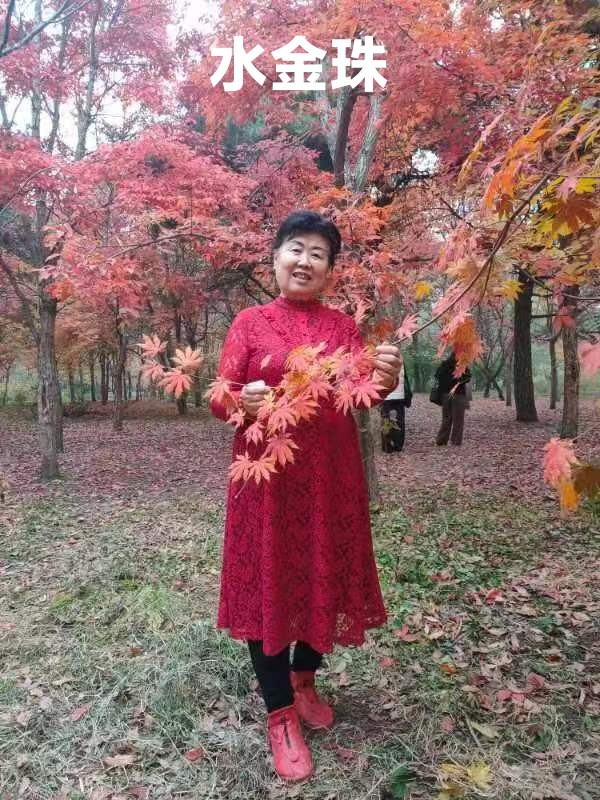吉林儒商综合群“回家真好”空中盛会(长春头条总4300期)（图7）