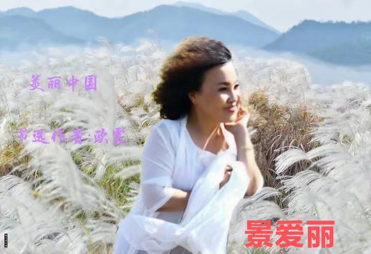 吉林儒商综合群“回家真好”空中盛会(长春头条总4300期)（图13）