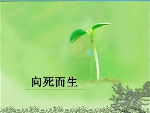 文盅诗歌《向死而生》主播：牧歌 编辑：小鱼儿 【北疆头条】（第344期）（图2）