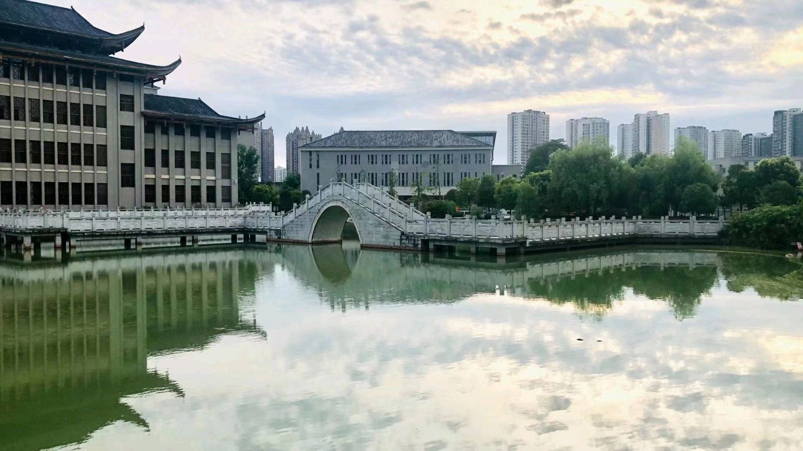 【上海头条】散文阁‖陈通伦:我和锦湖那些鸟(图4)