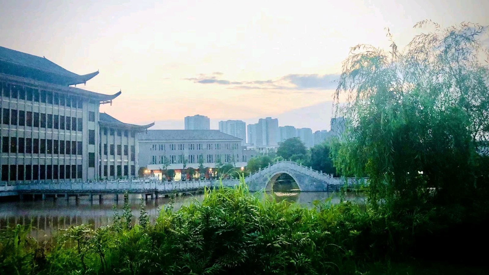 【上海头条】散文阁‖陈通伦:我和锦湖那些鸟（图6）