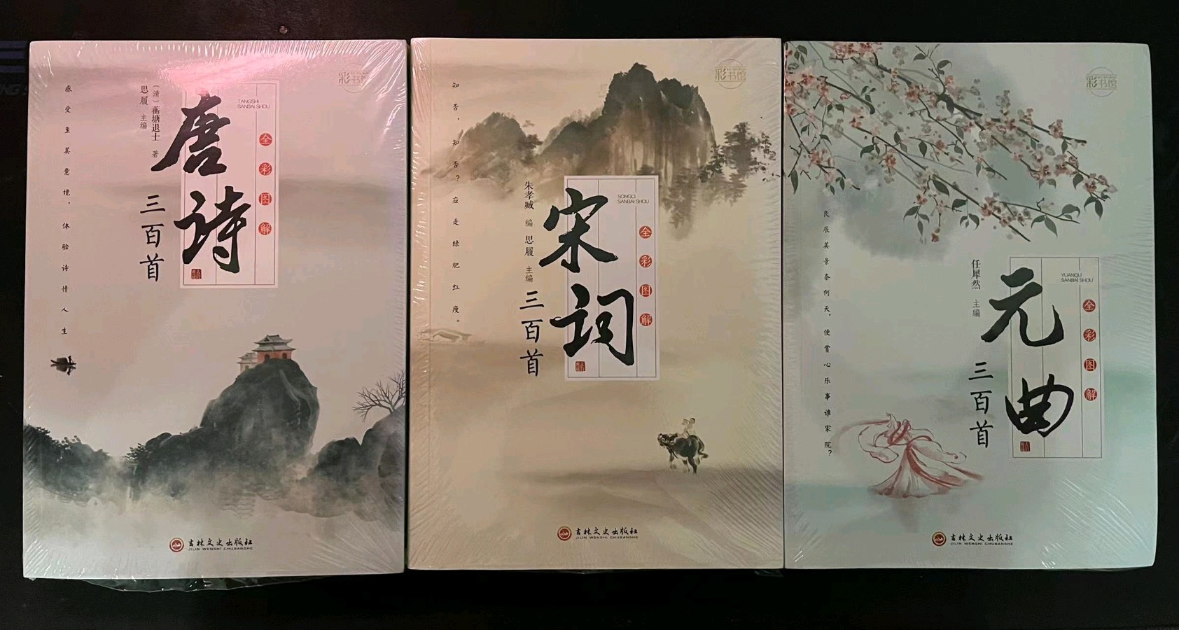 《秋月梨》外一首 作者｜陈鸣鸣（南京）【冰心文化传媒】（图4）