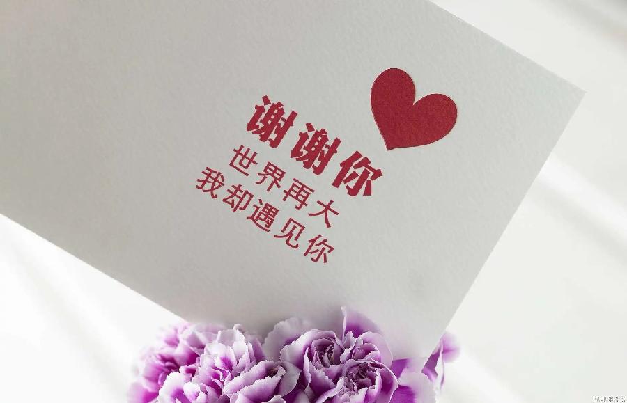 张巨山力作/感谢你,我的朋友 主播/付育清 长春头条总4302期(图5)