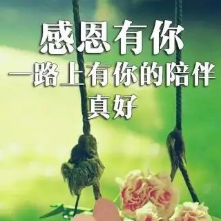 张巨山力作/感谢你,我的朋友 主播/付育清 长春头条总4302期(图4)