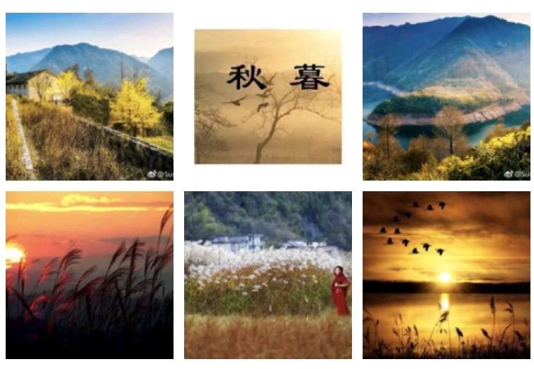 〖诗词小辑〗文/风鸽（张晓峰）【冰心文化传媒】（图2）