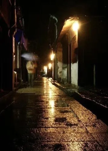初冬夜雨‖文图/赵京江（图4）
