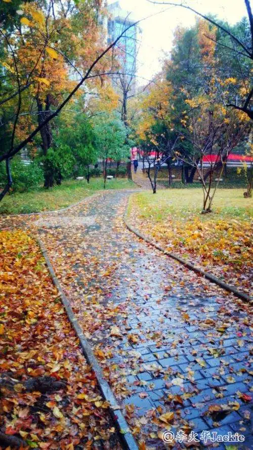 初冬夜雨‖文图/赵京江（图3）