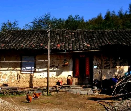 《老屋》作者:李芳莹【主播:青草味儿】【桃园国际诗歌集团】用声音传递温暖以朗诵致敬人生♬（图7）