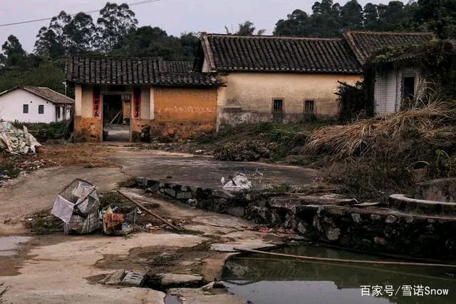 《老屋》作者:李芳莹【主播:青草味儿】【桃园国际诗歌集团】用声音传递温暖以朗诵致敬人生♬（图8）