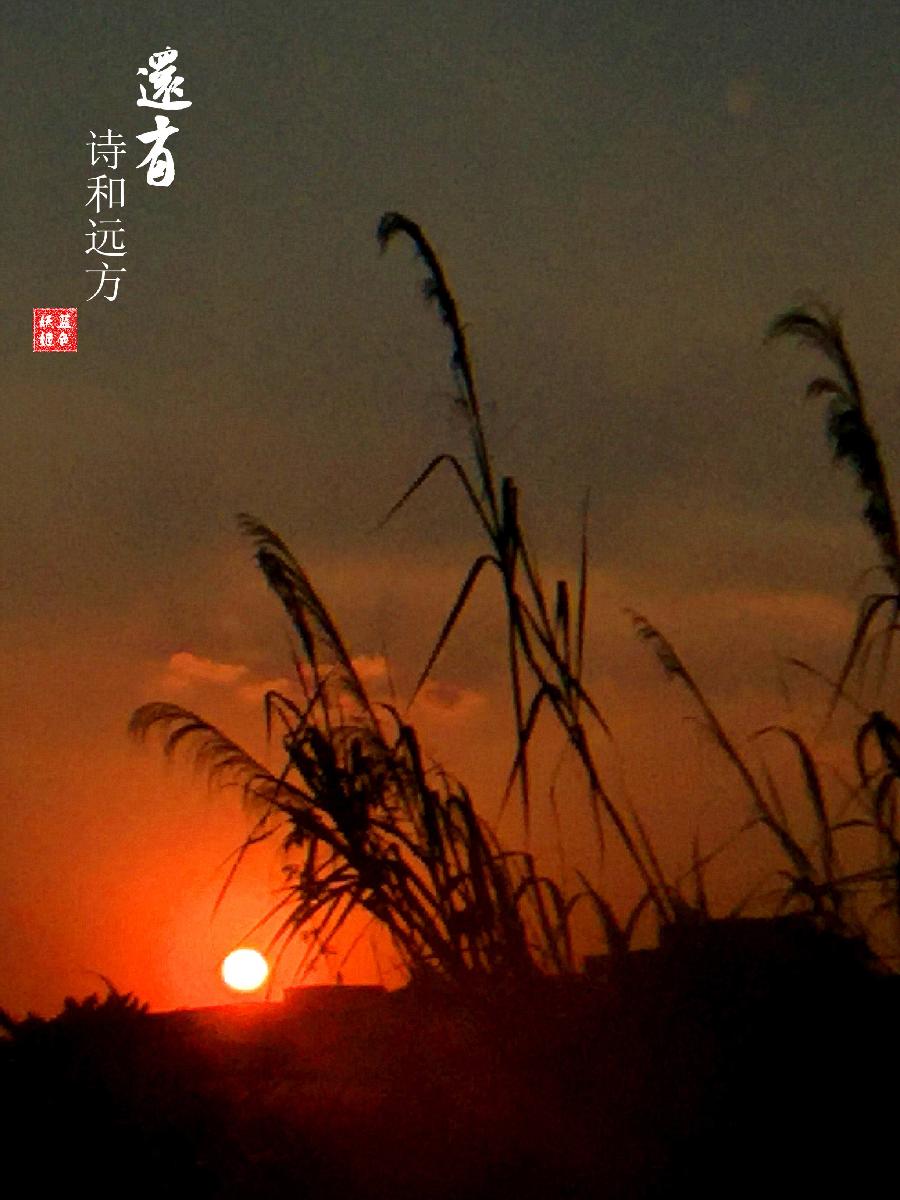 七律 立冬(外一首)文/张昕(图7)