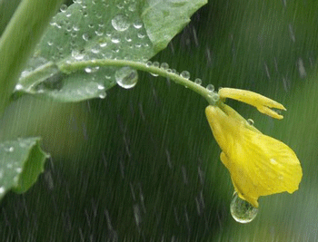 雨中吟（平水韵）/浩瀚（图2）