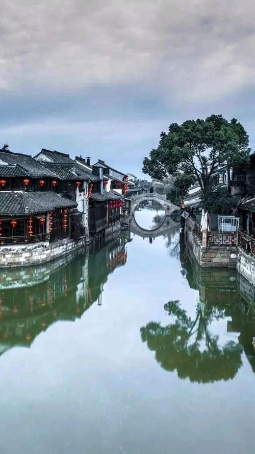 春天，遂想起 作者：余光中 朗诵：陈群 京津沪头条（图2）