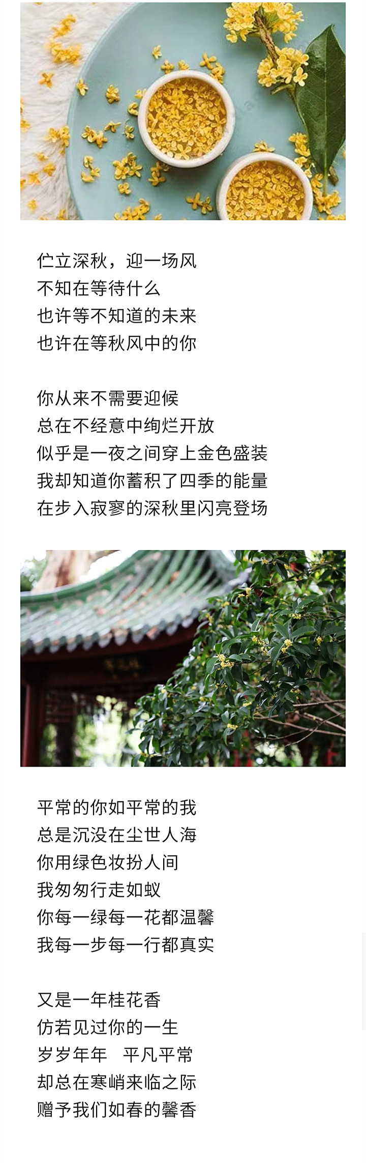 寰俊鍥剧墖_20221111192438_鍓湰.jpg