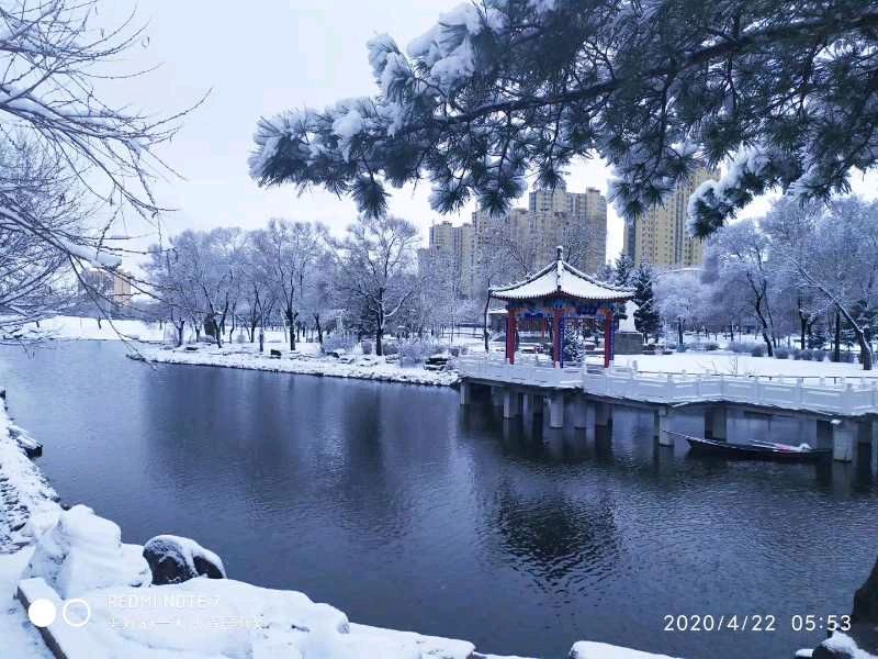 【花雨馨声】有声文学平台《雪舞倾城》外二首作者/牵手幸福 诵读/花雨 馨声 编辑/雨杉【第79期】（图2）