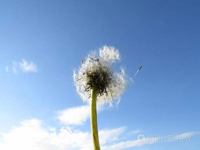 诗人林杨（黑龙江）:风的脚印（图7）
