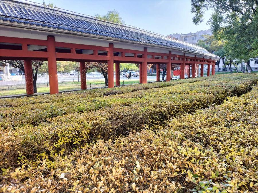 诗人于金奎（宁夏石嘴山）:七律·病房临窗有感（下平七阳）（图4）