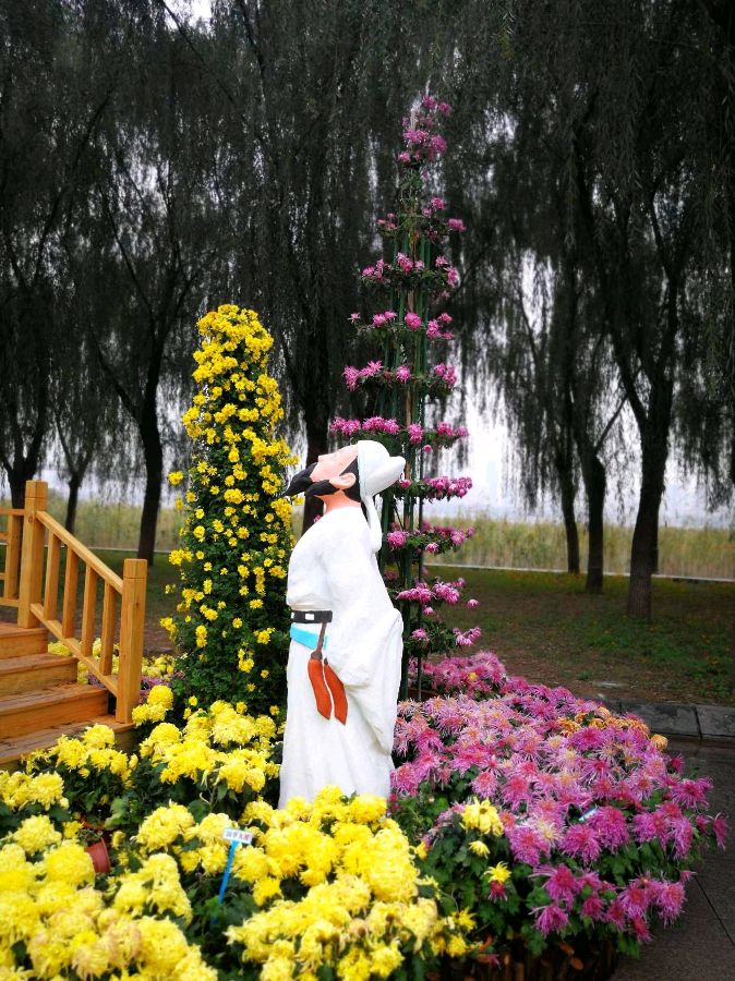 【金榜头条】推介优秀作家诗人崔怀强《看花回•江滩菊展》请欣赏(图9)