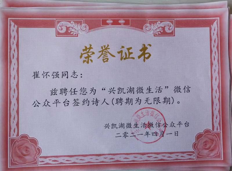 【金榜头条】推介优秀作家诗人崔怀强《看花回•江滩菊展》请欣赏(图13)