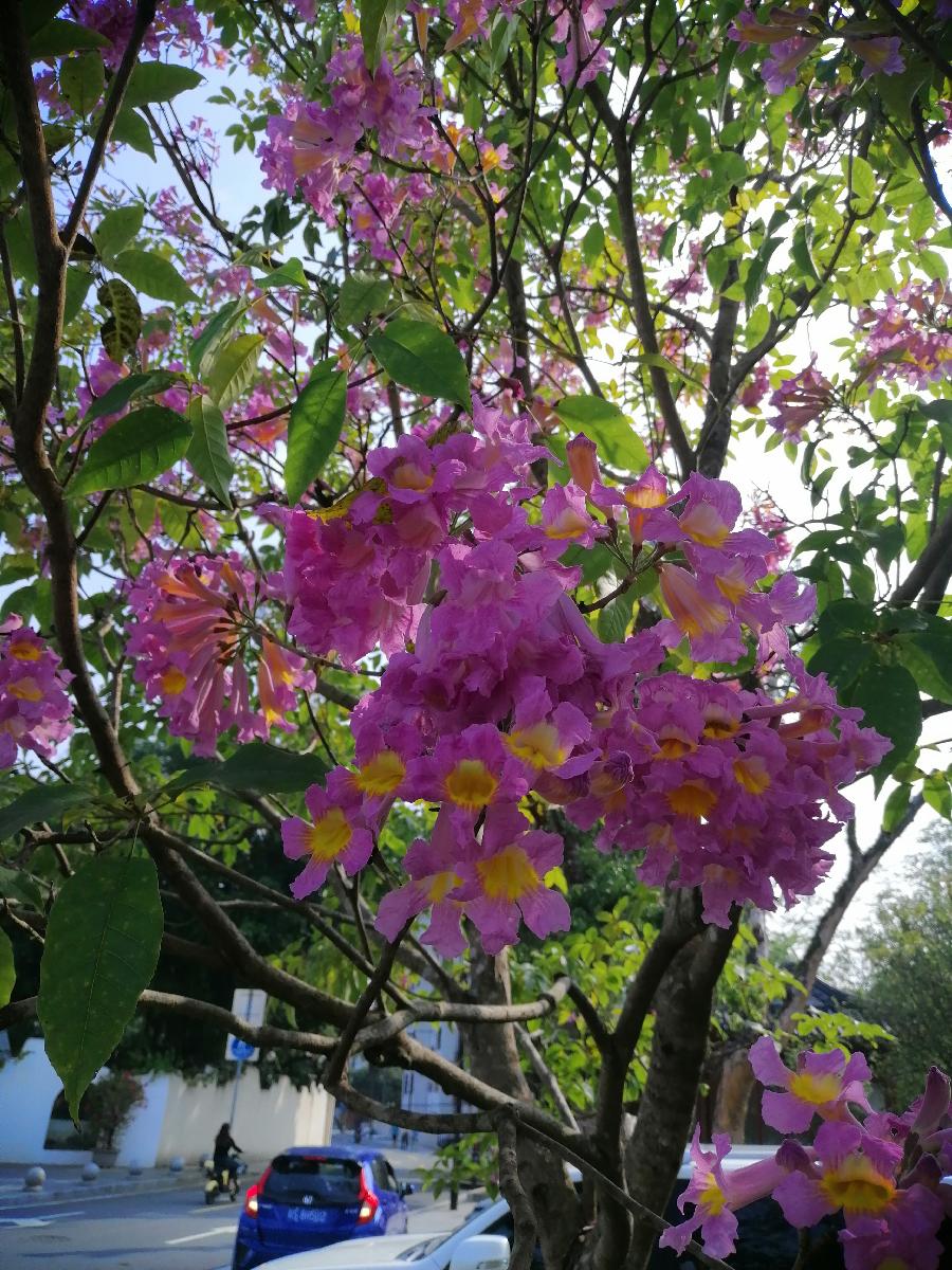 山乡行（杂体诗）文／江冲（图2）